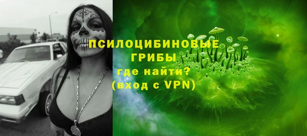 гидра Магас