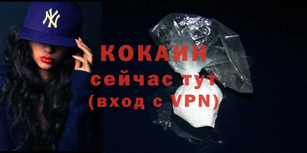 гидра Магас