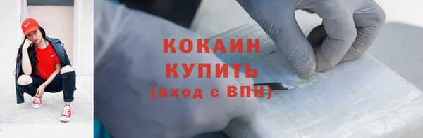 гидра Магас