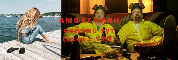 гидра Магас