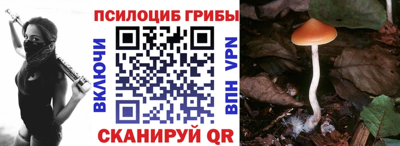 Галлюциногенные грибы MAGIC MUSHROOMS  Купить  Сосновка 